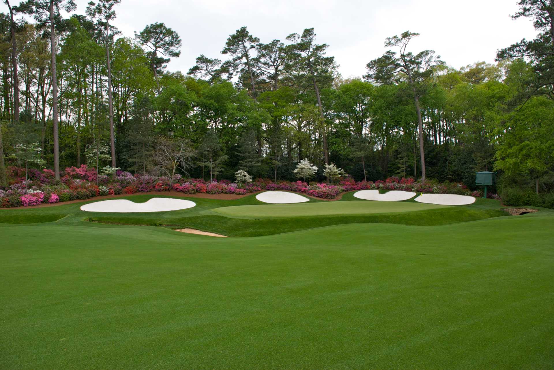 PGA Pros Take On Greens | Southwest Greens of Metro New York